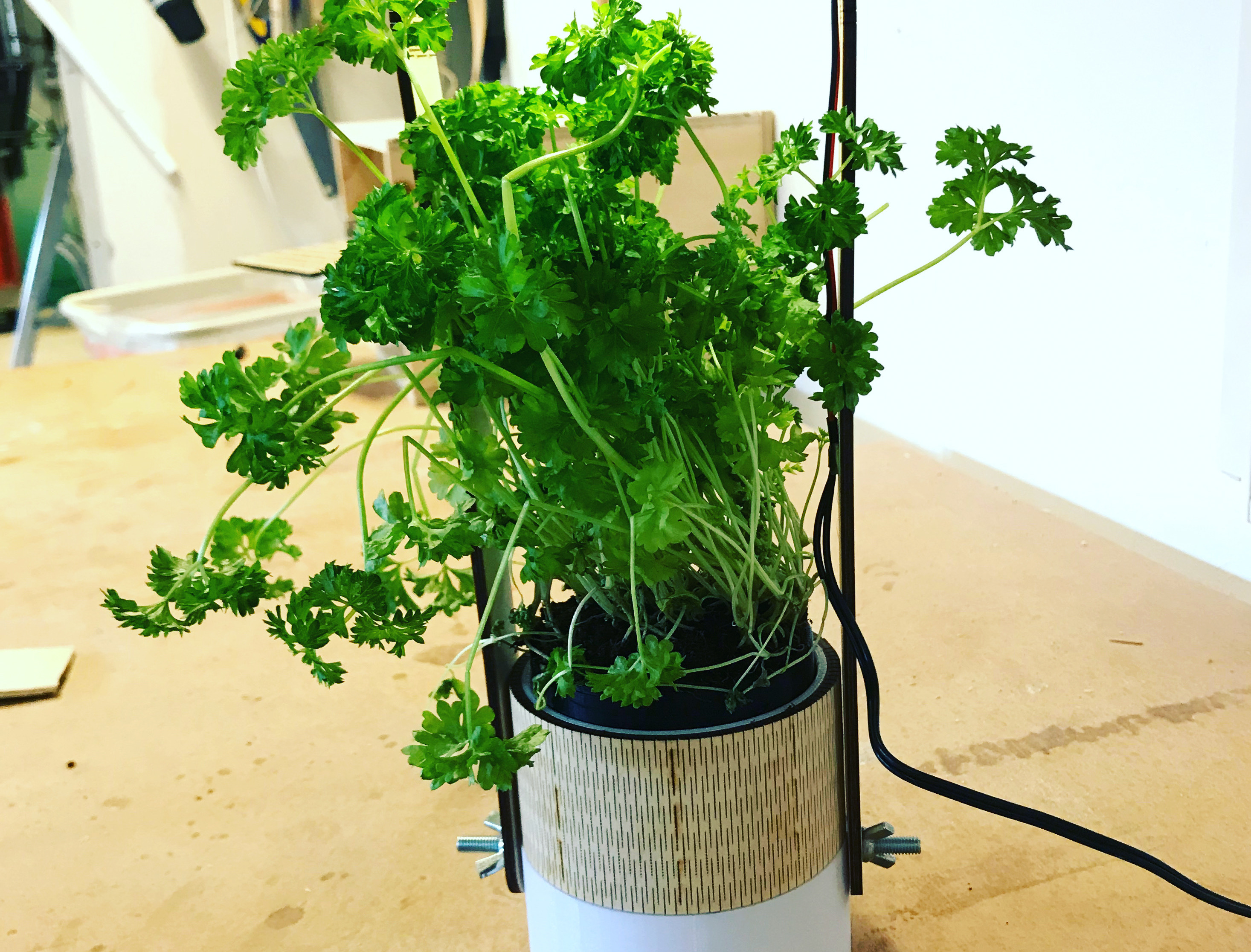 Minimalist Smart Planter