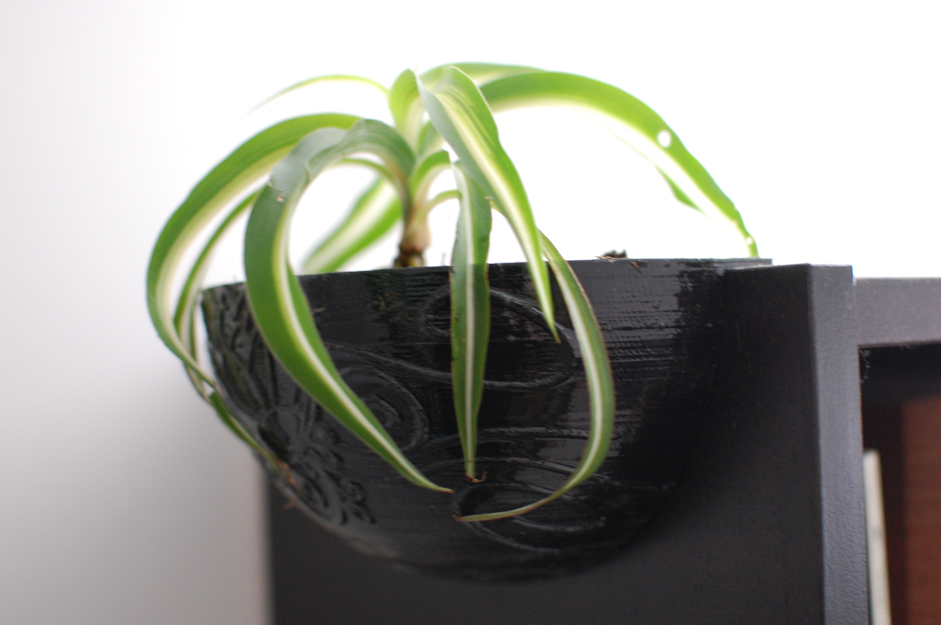 Shelf plant pot