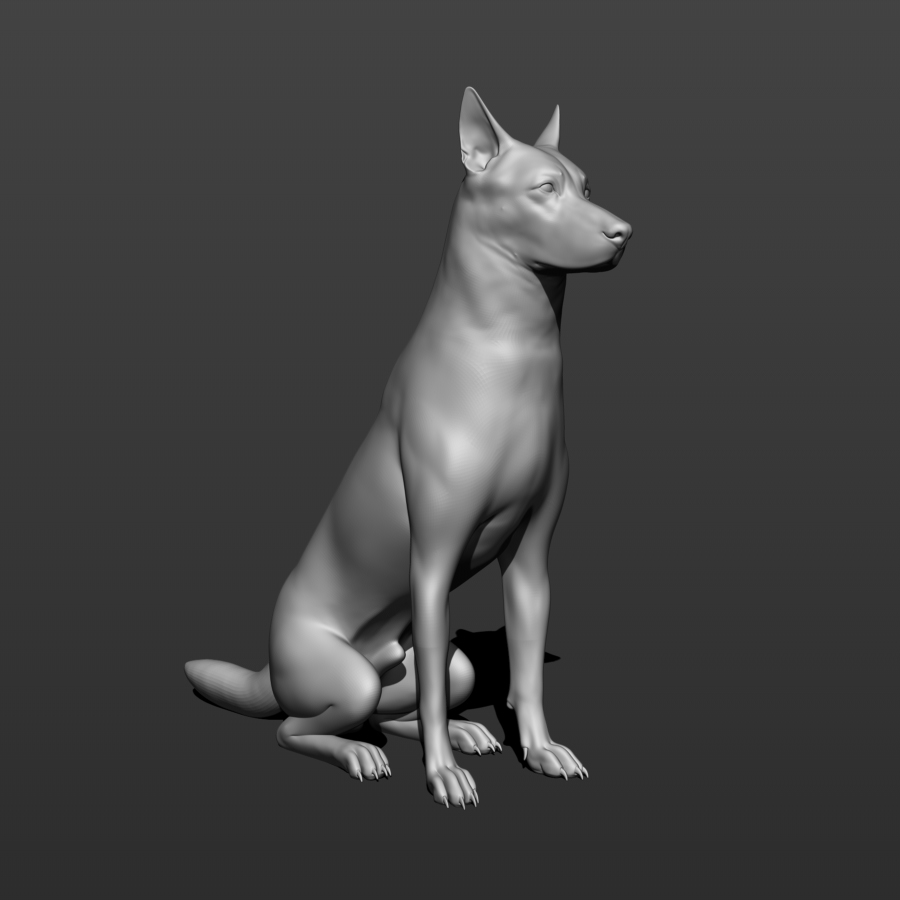 German shepherd dog