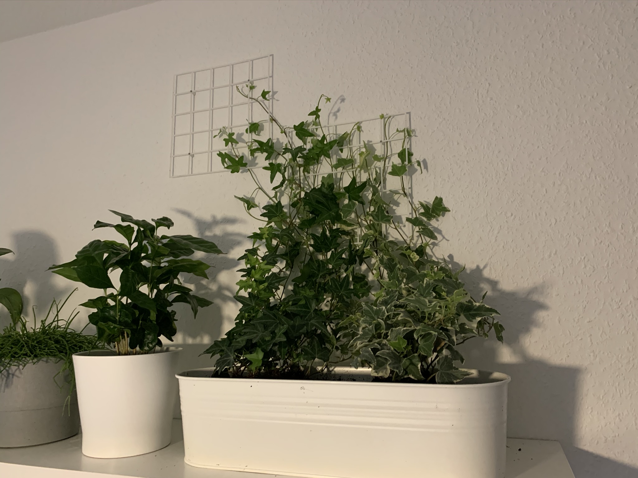Plant grid