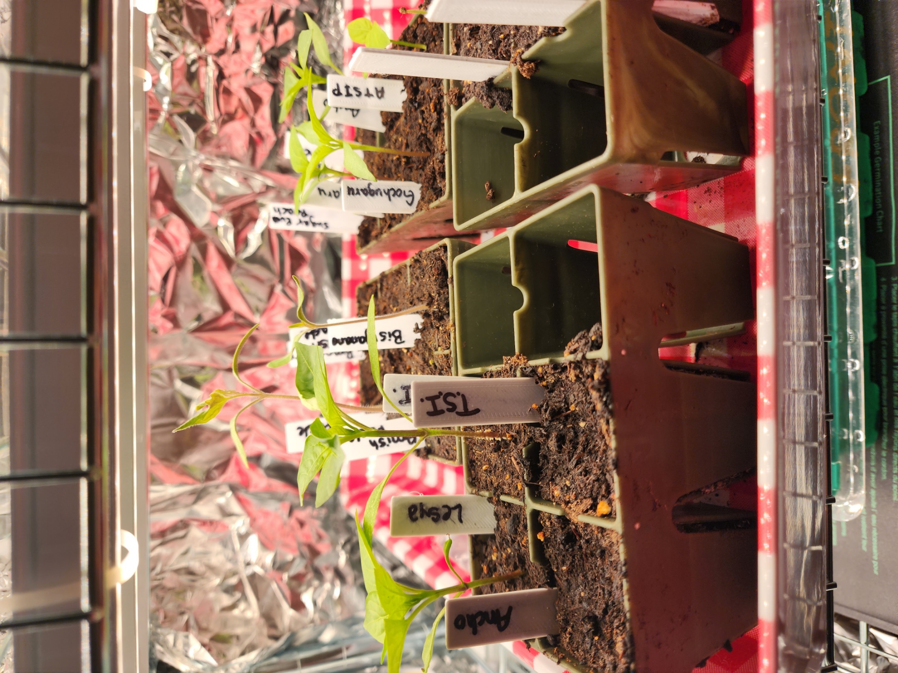 Plant Tag