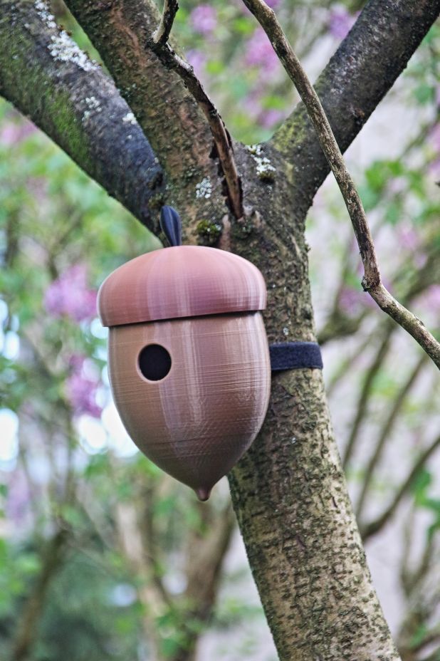 Eikelhuisje voor vogels. (Acorn house for birds.)