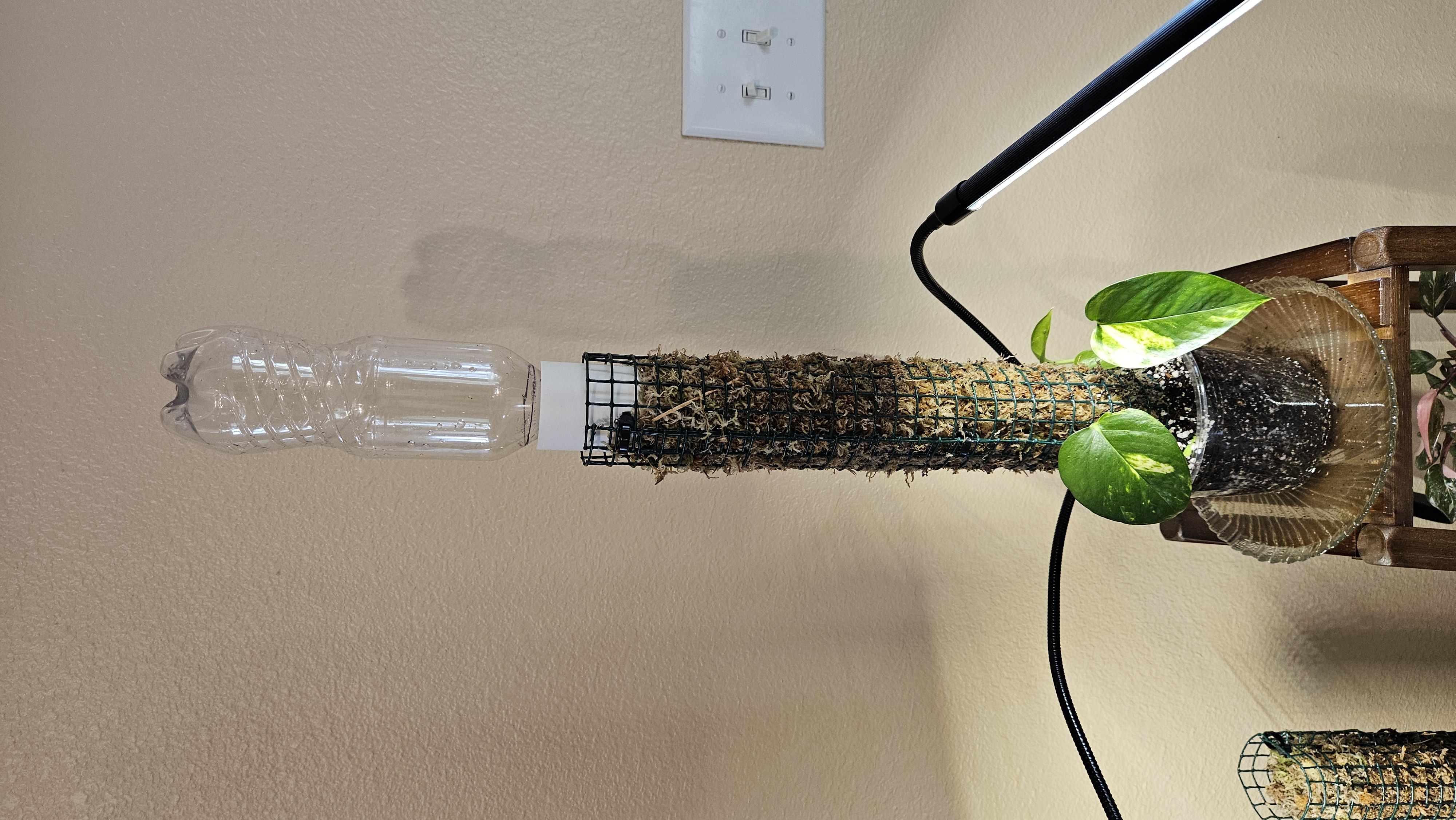 Moss Pole Drip Water System