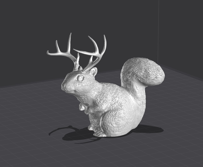 Squirrel, Deer Squirrel