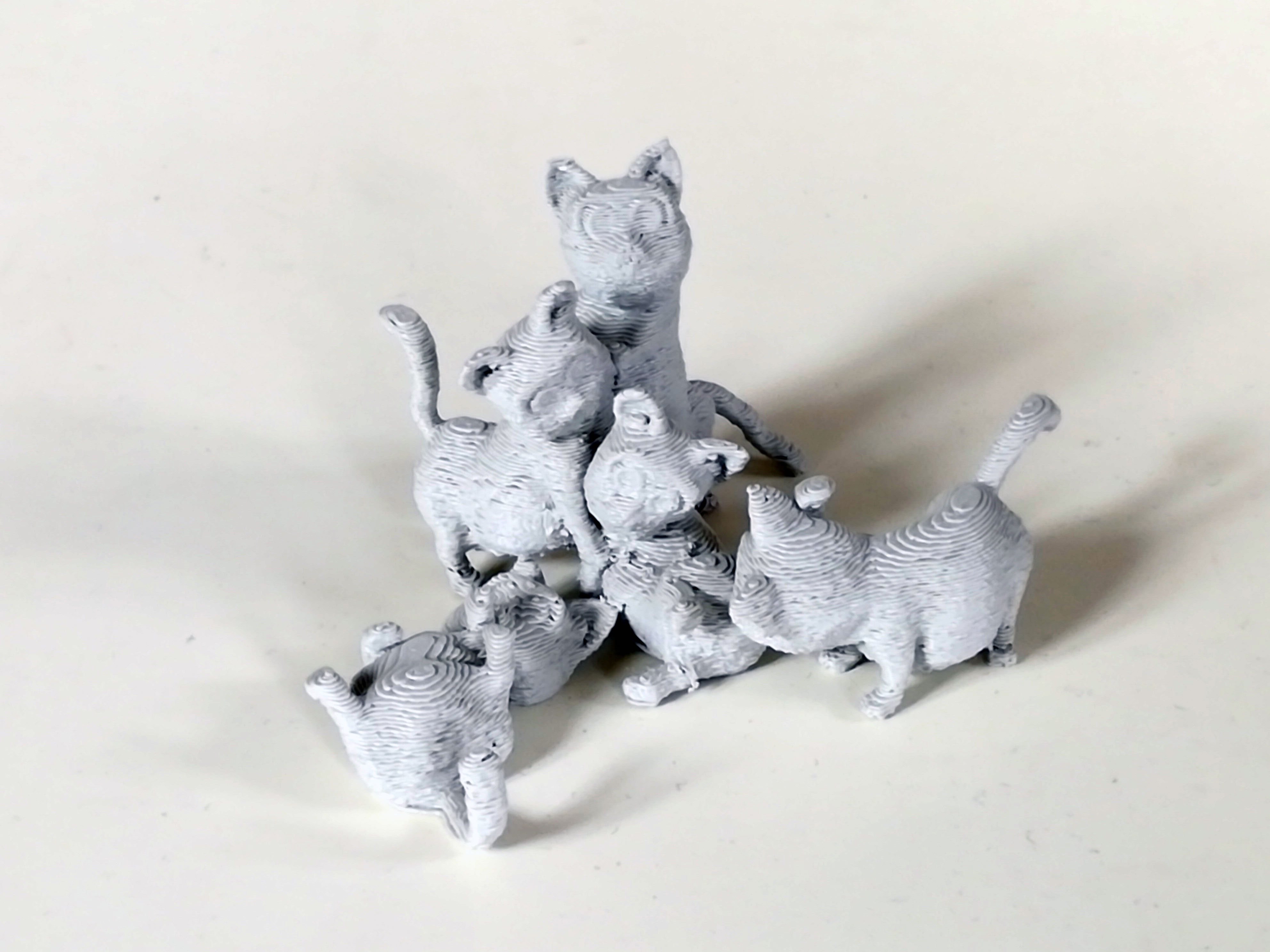 little wild pussys