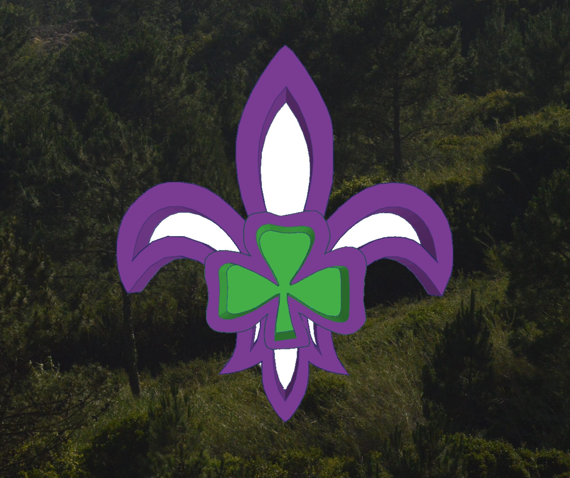 Scouting Ireland Fleur de Lis