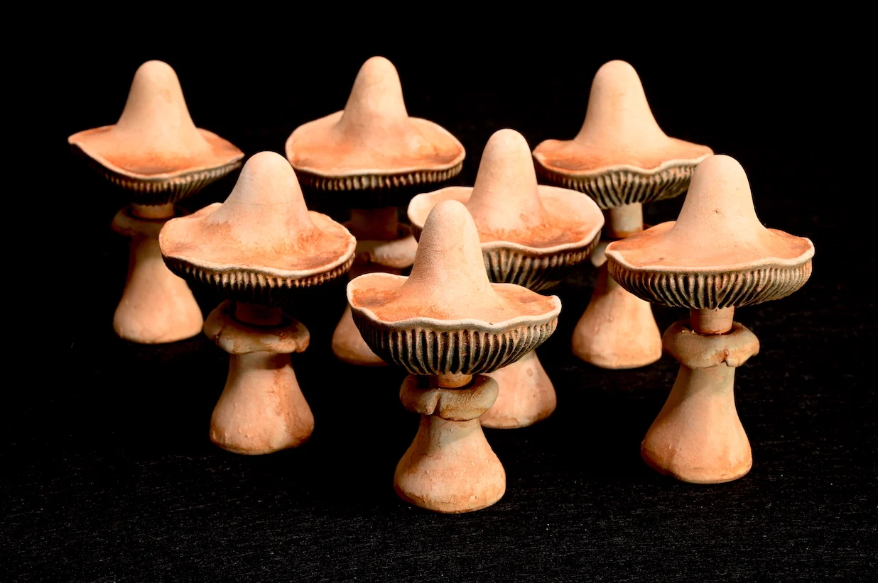 Ubiquitous Mushroom Set 3