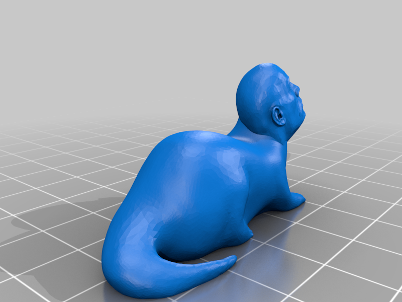 Rotter (The Rock Otter)