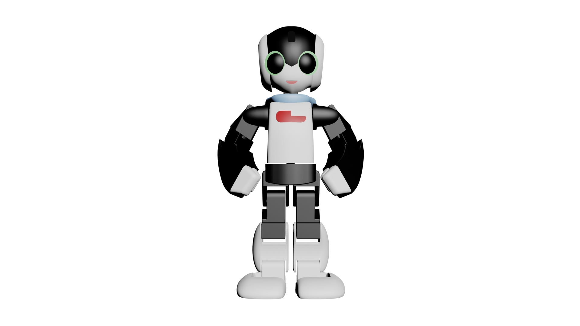 Robi the Action Figure
