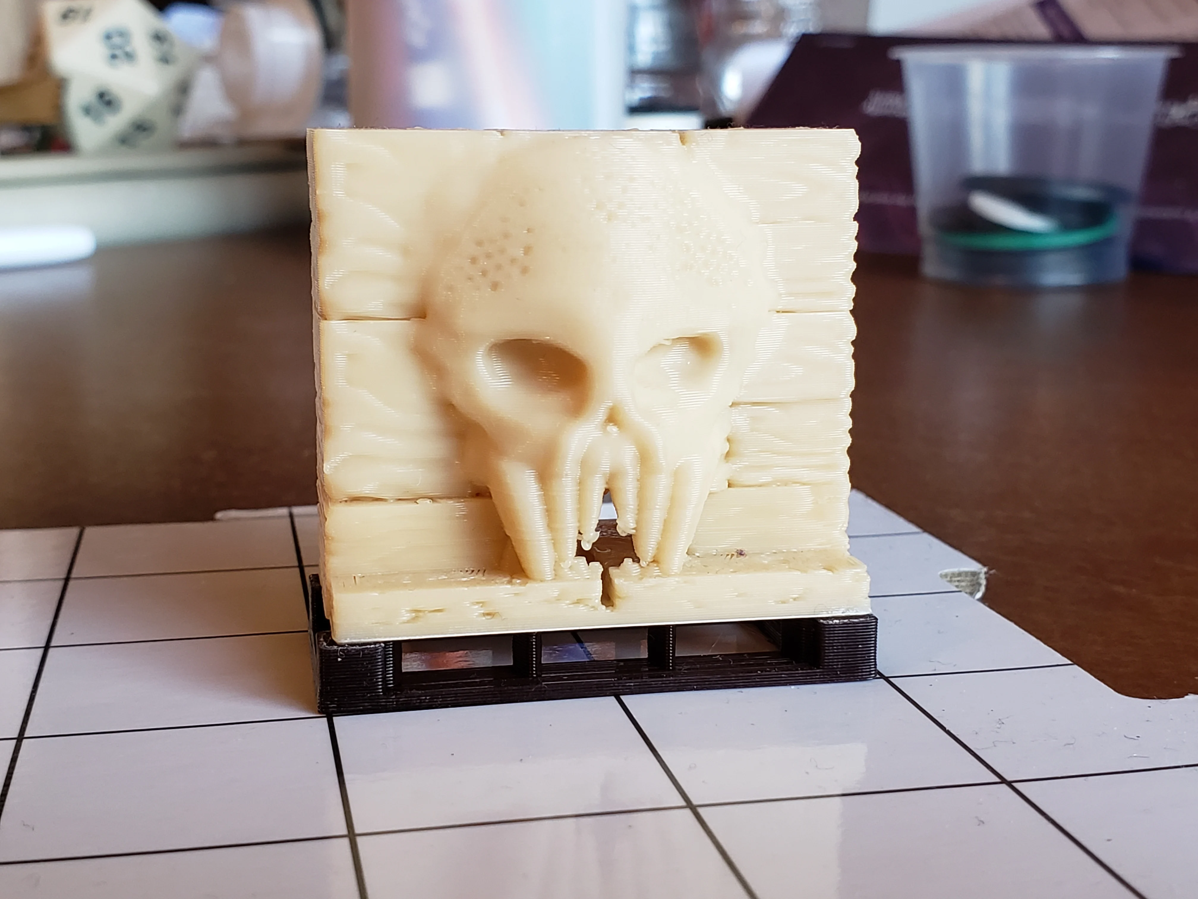 S Wall With Skull Crawlway