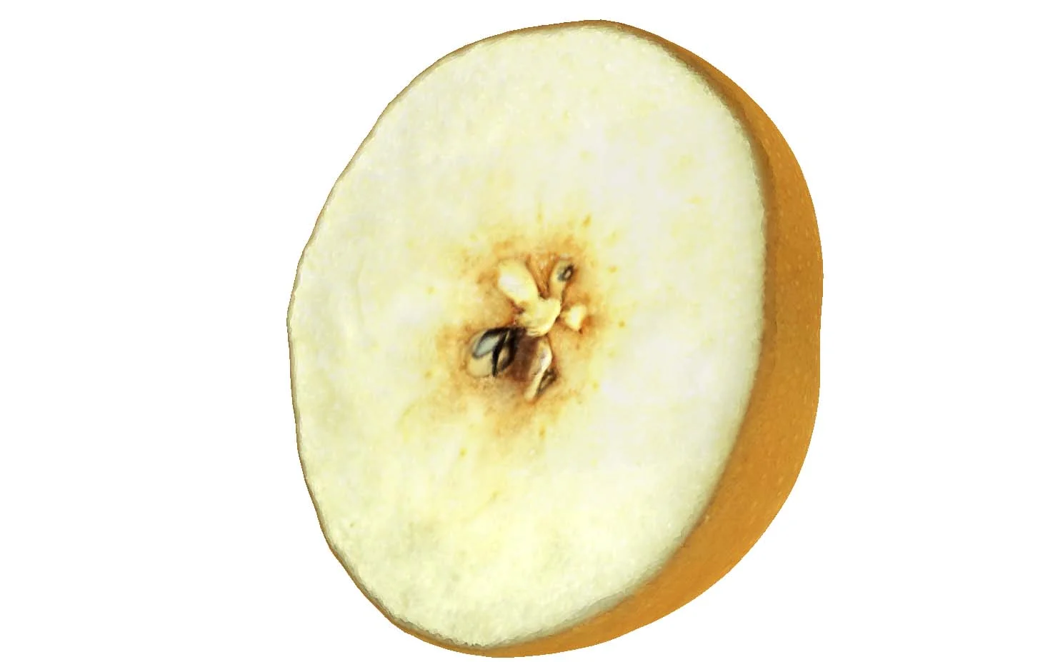 The Pear-3-Lower Half