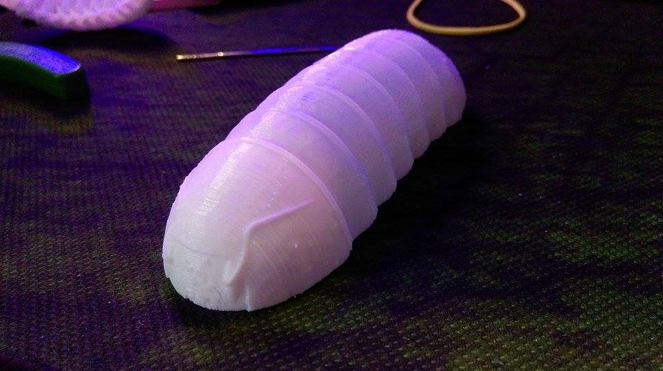 Isopod Pill bug