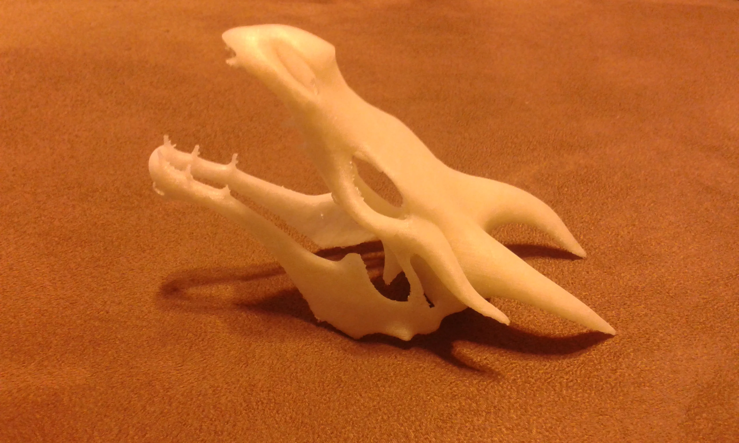 Skyrim Dragon Skull Smooth (With Battle Scars)
