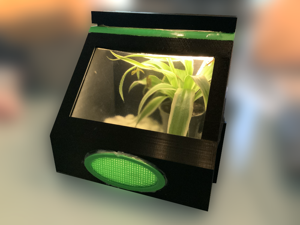 Mantis terrarium