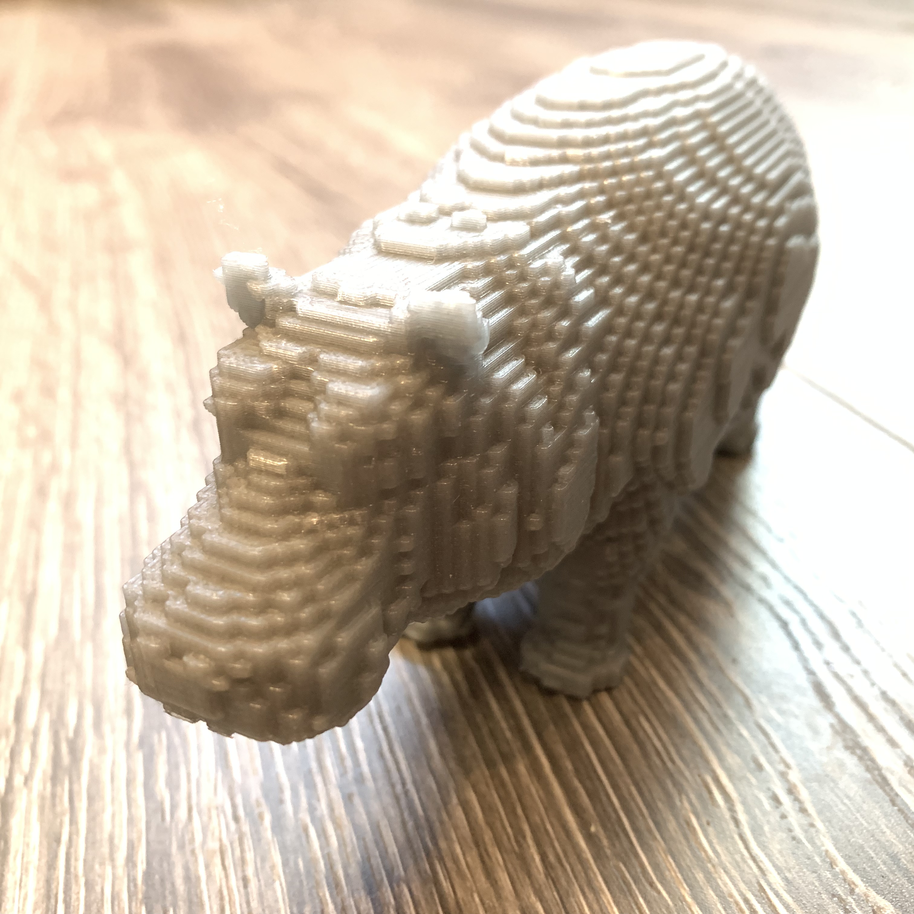 I Want a Hippopotamus for Christmas!
