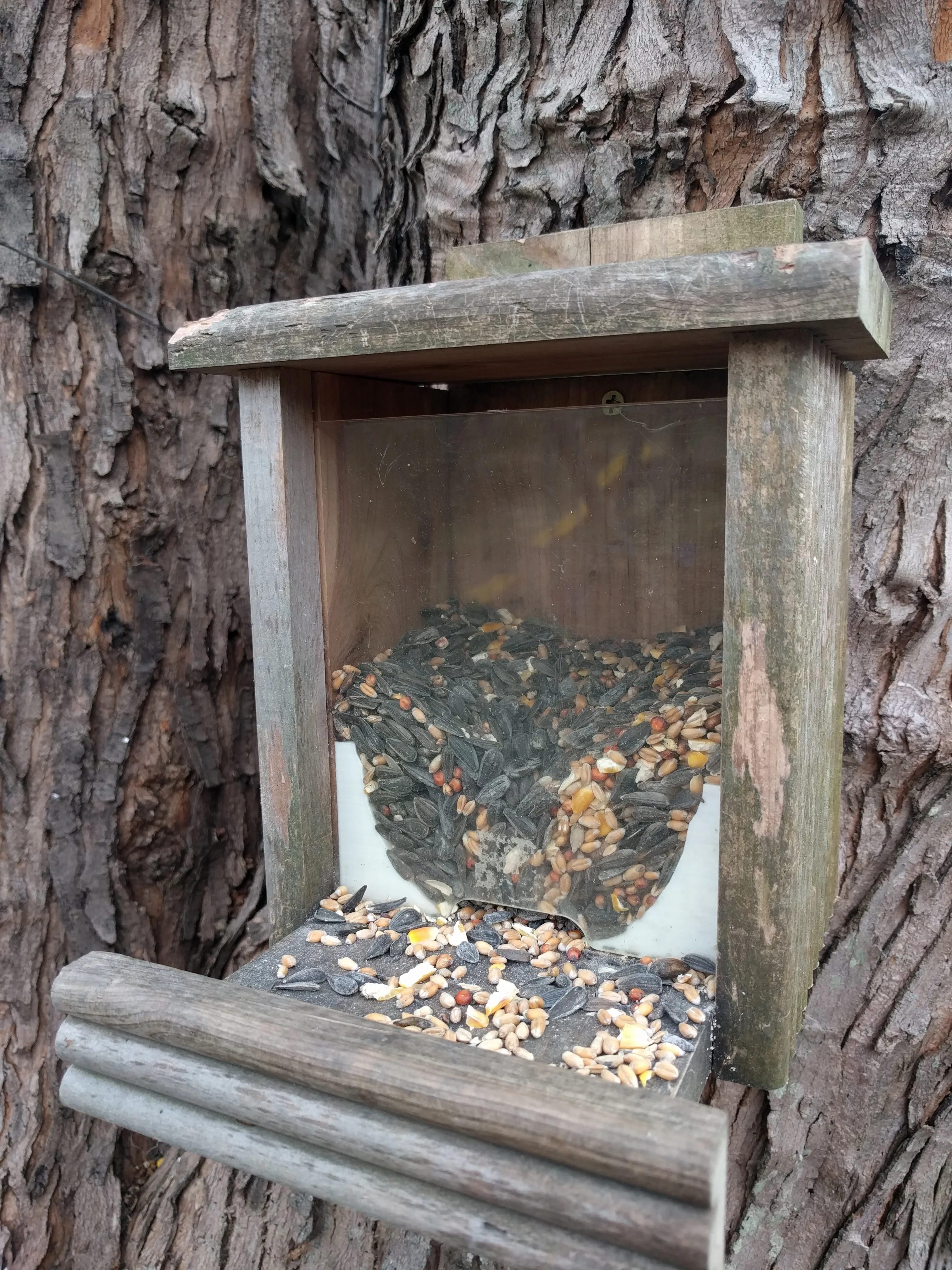 Bird Feeder Bottom - Birdseed Funnel Mod