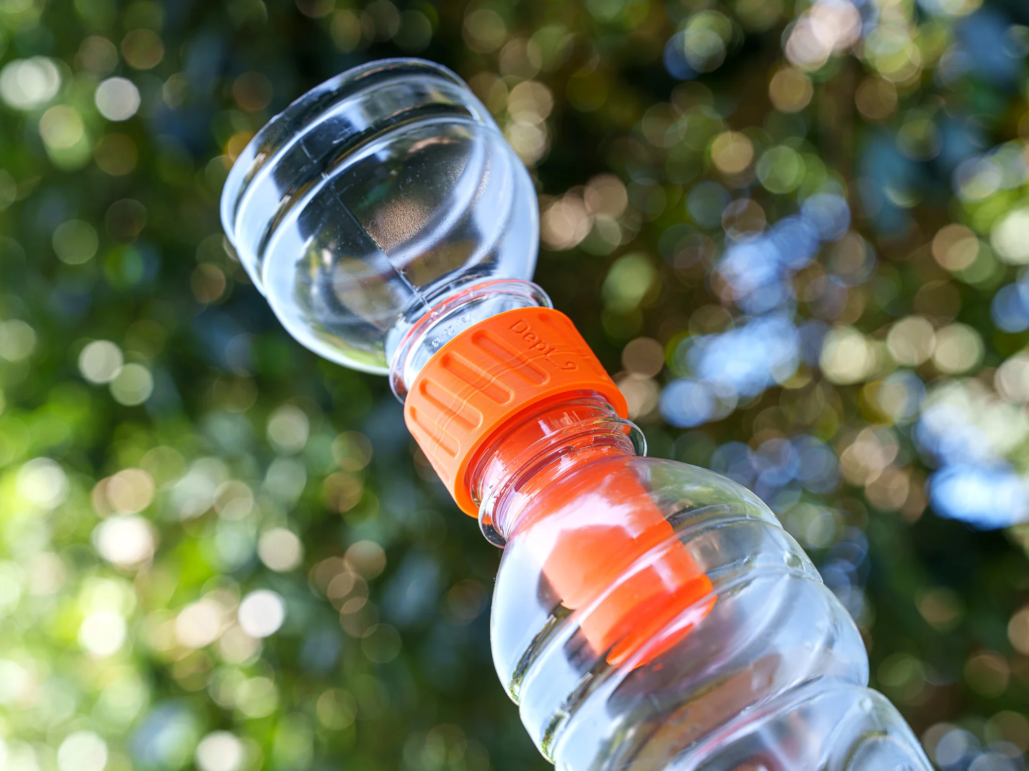 Stink Bug Bottle Trap