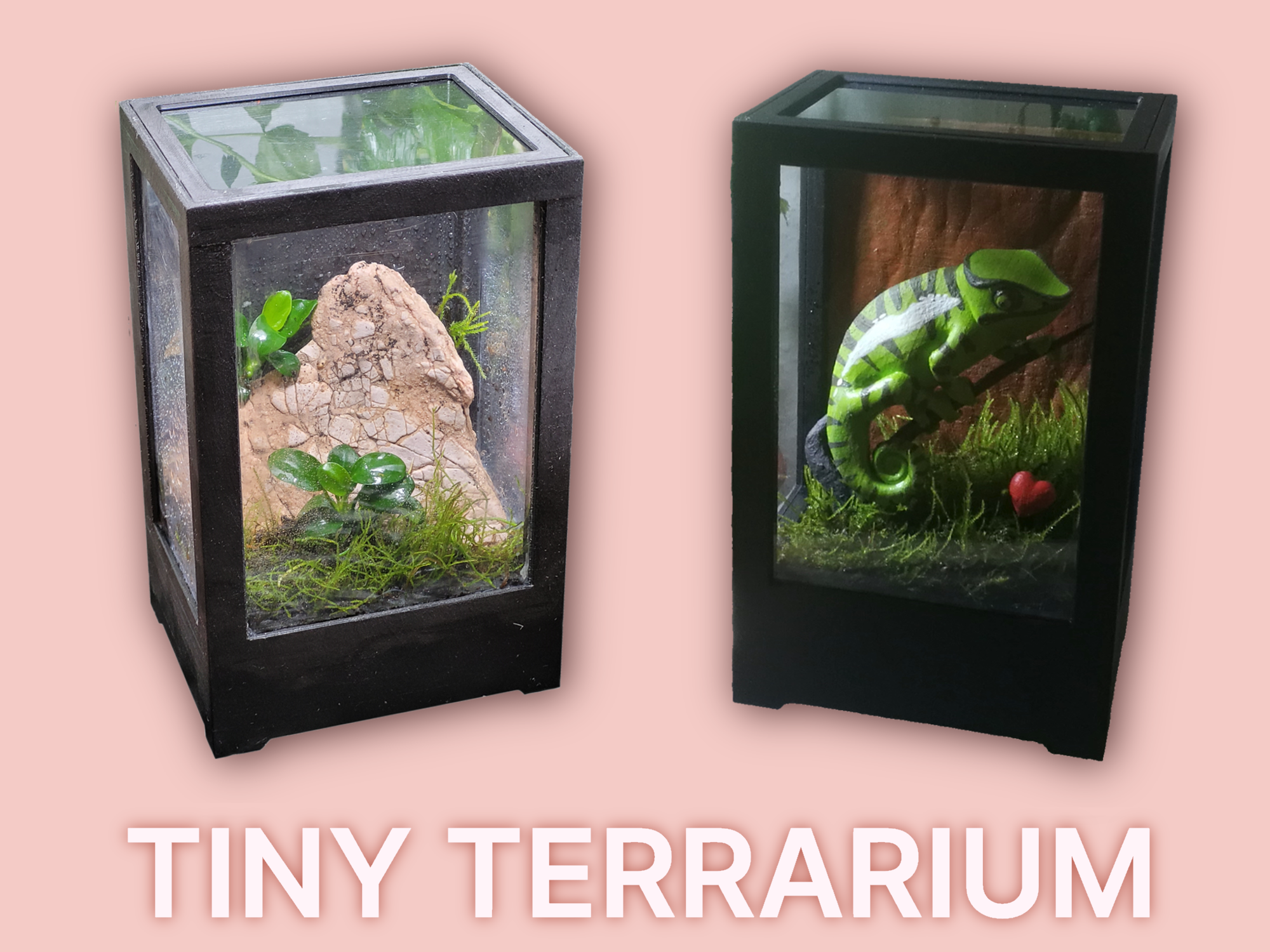 Tiny Terrarium