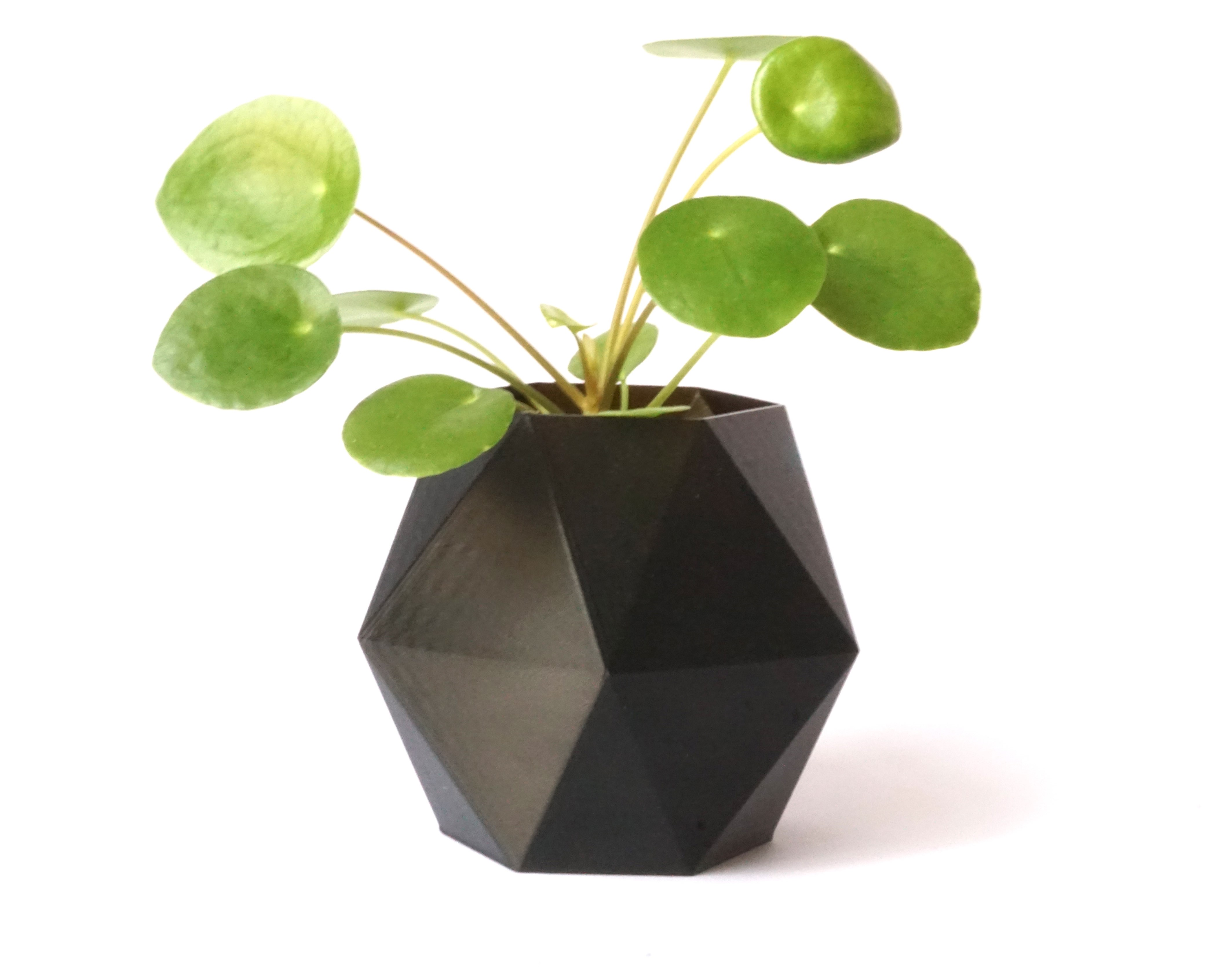 Hexagonal flower pot #3