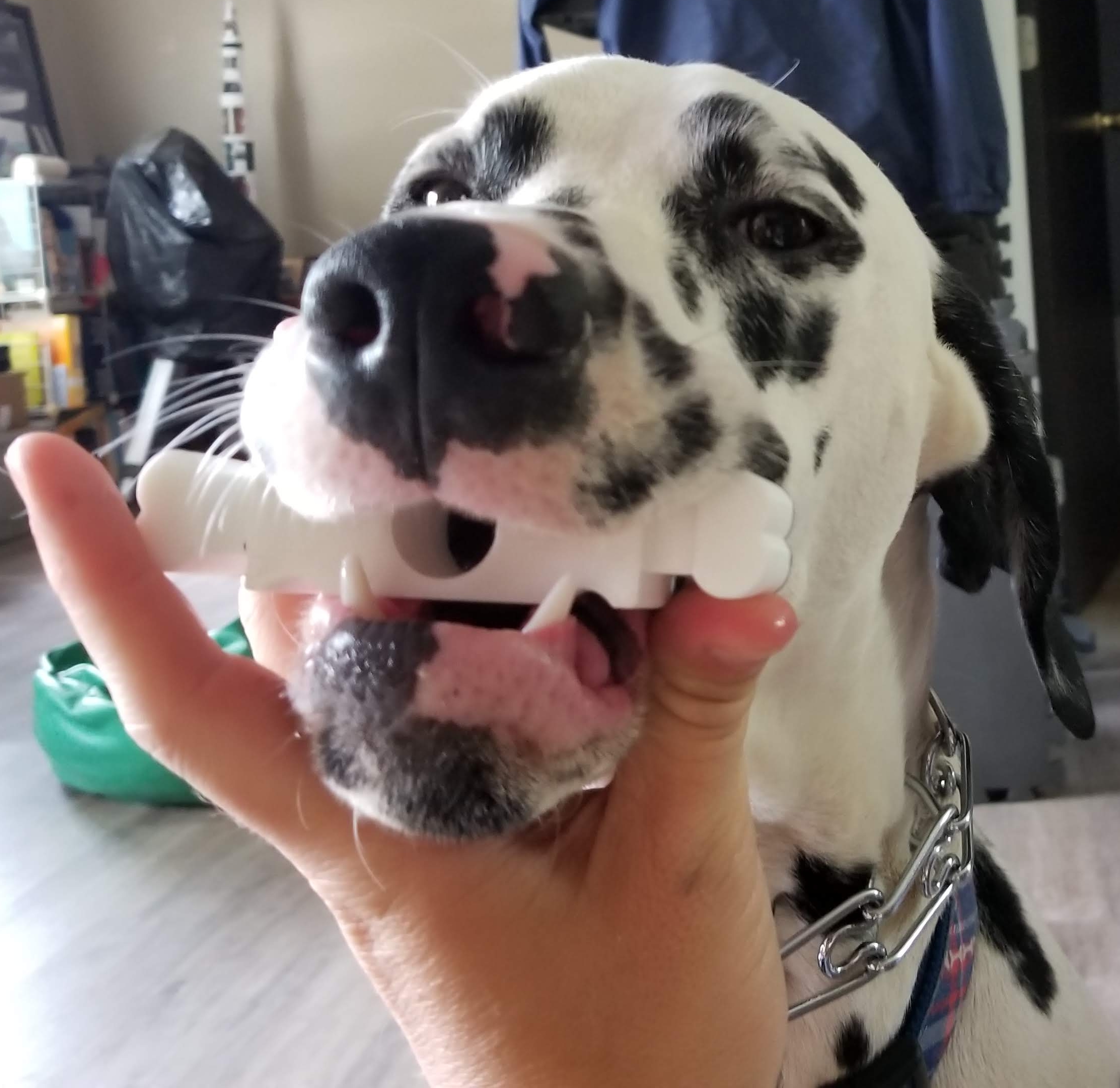 Dog Bloat Bite Block