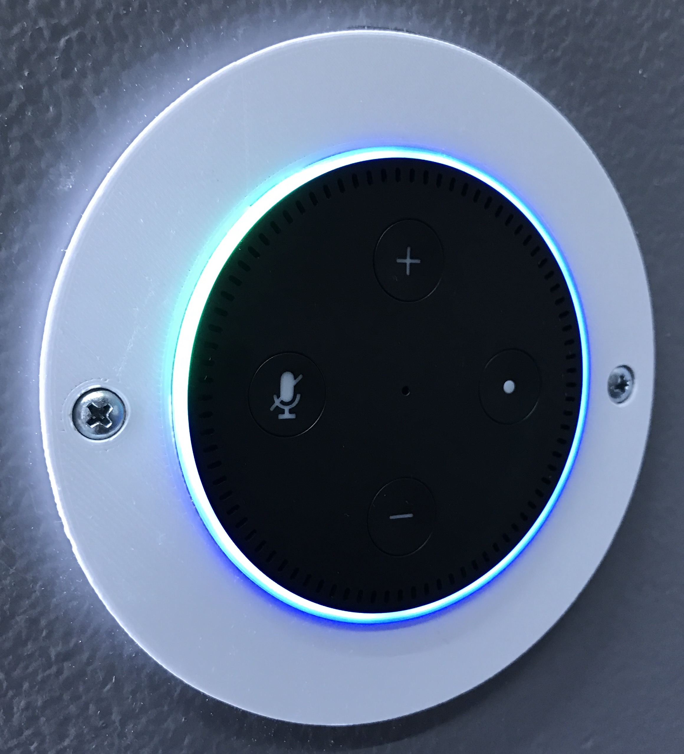Echo Dot 2 wallplate