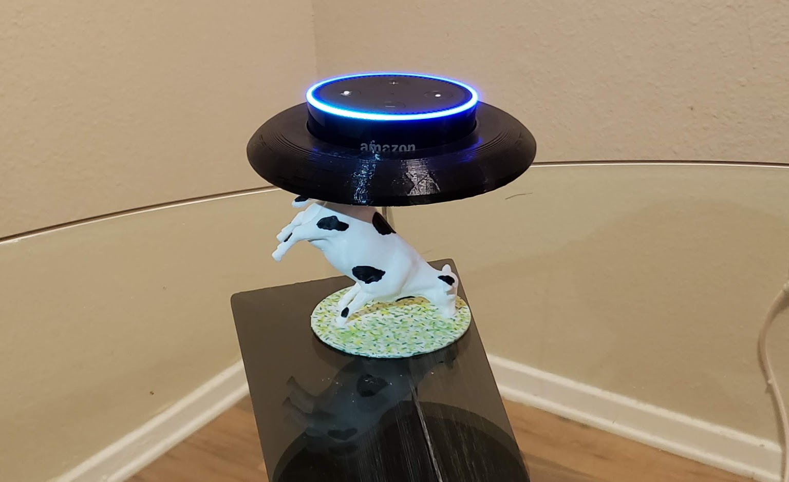 Alien Abduction Echo Dot base