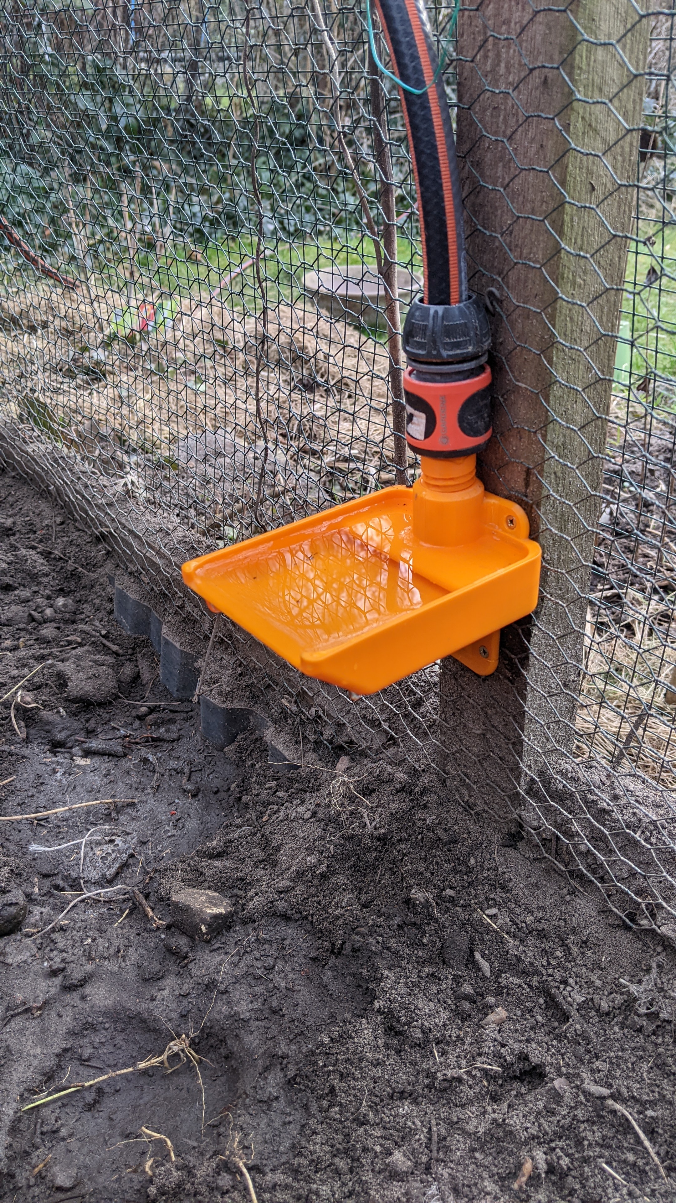 Chicken water dispenser, with automatic refill and cleaning function (combined to a water timer)