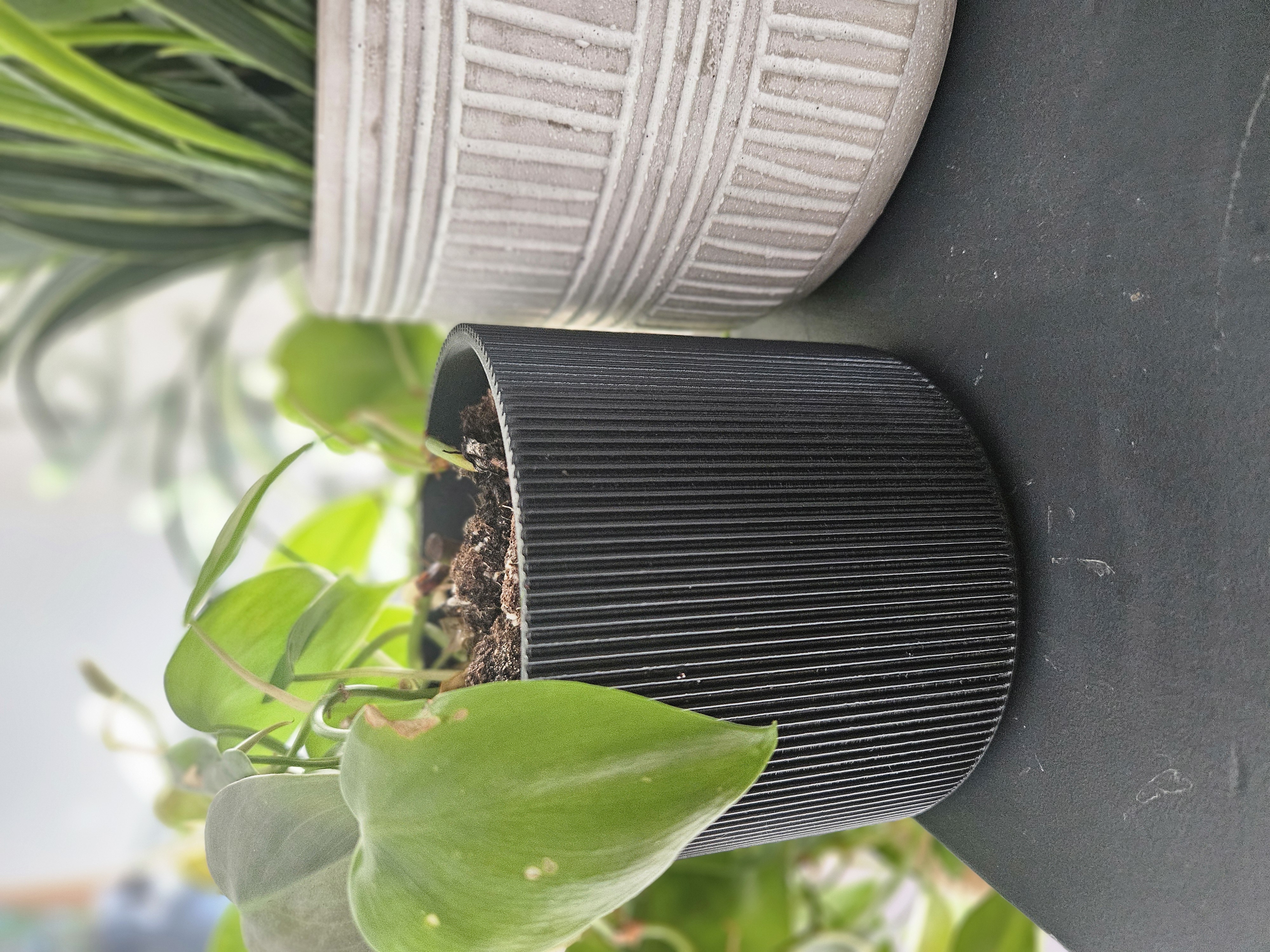 Aesthetic Indoor Plant Pot