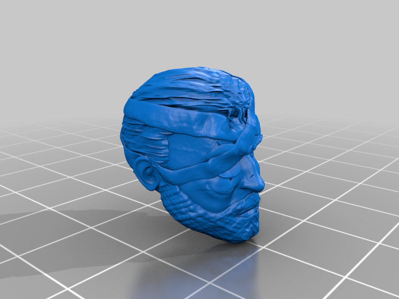 punisher head