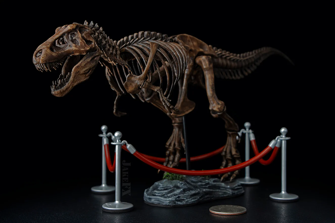 Exhibit Ropes for T-Rex