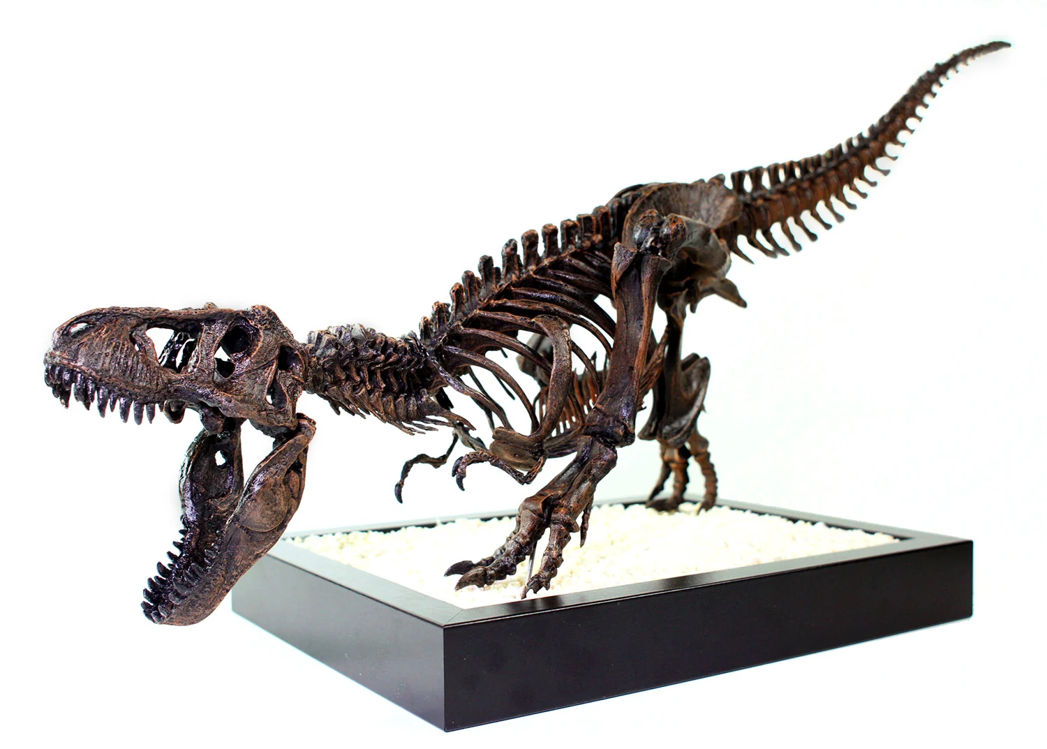 T-Rex Skeleton - Leo Burton Mount