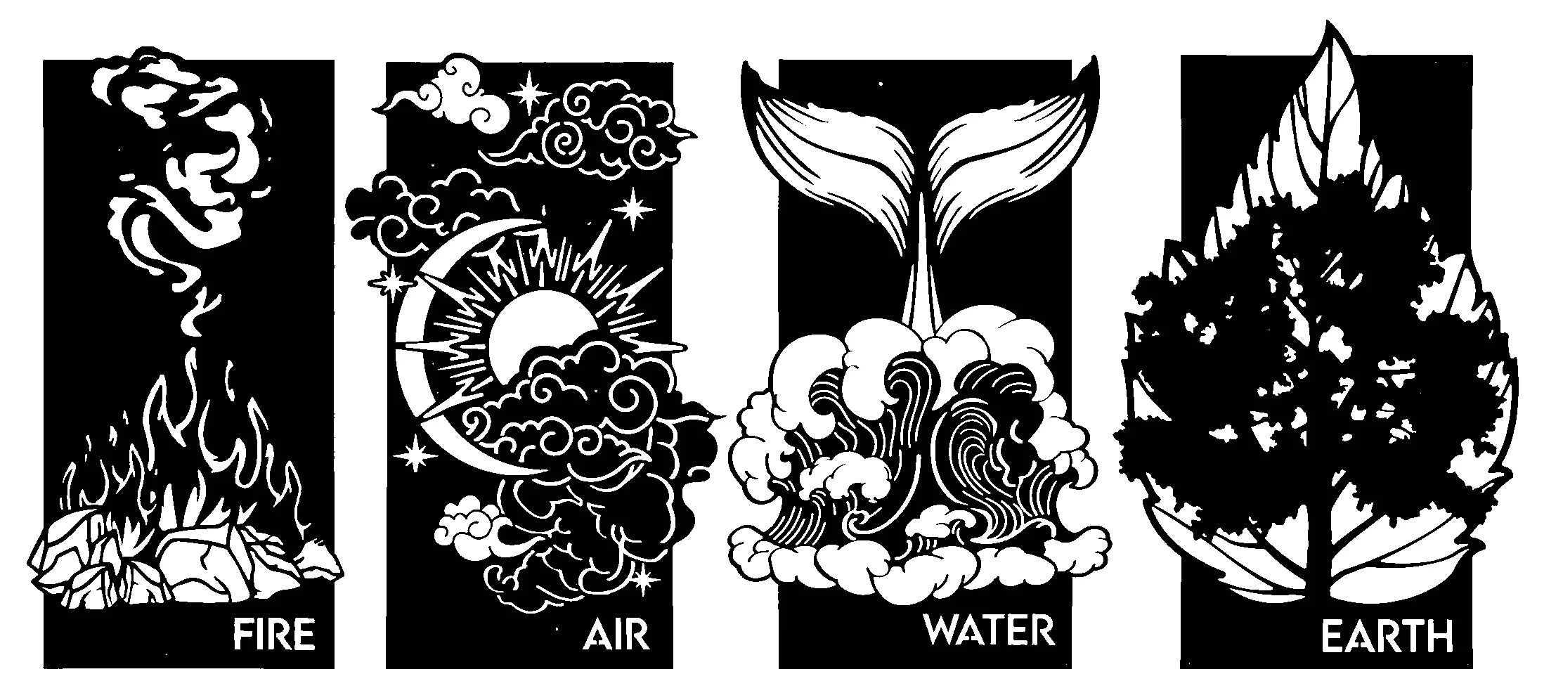 2D Elements