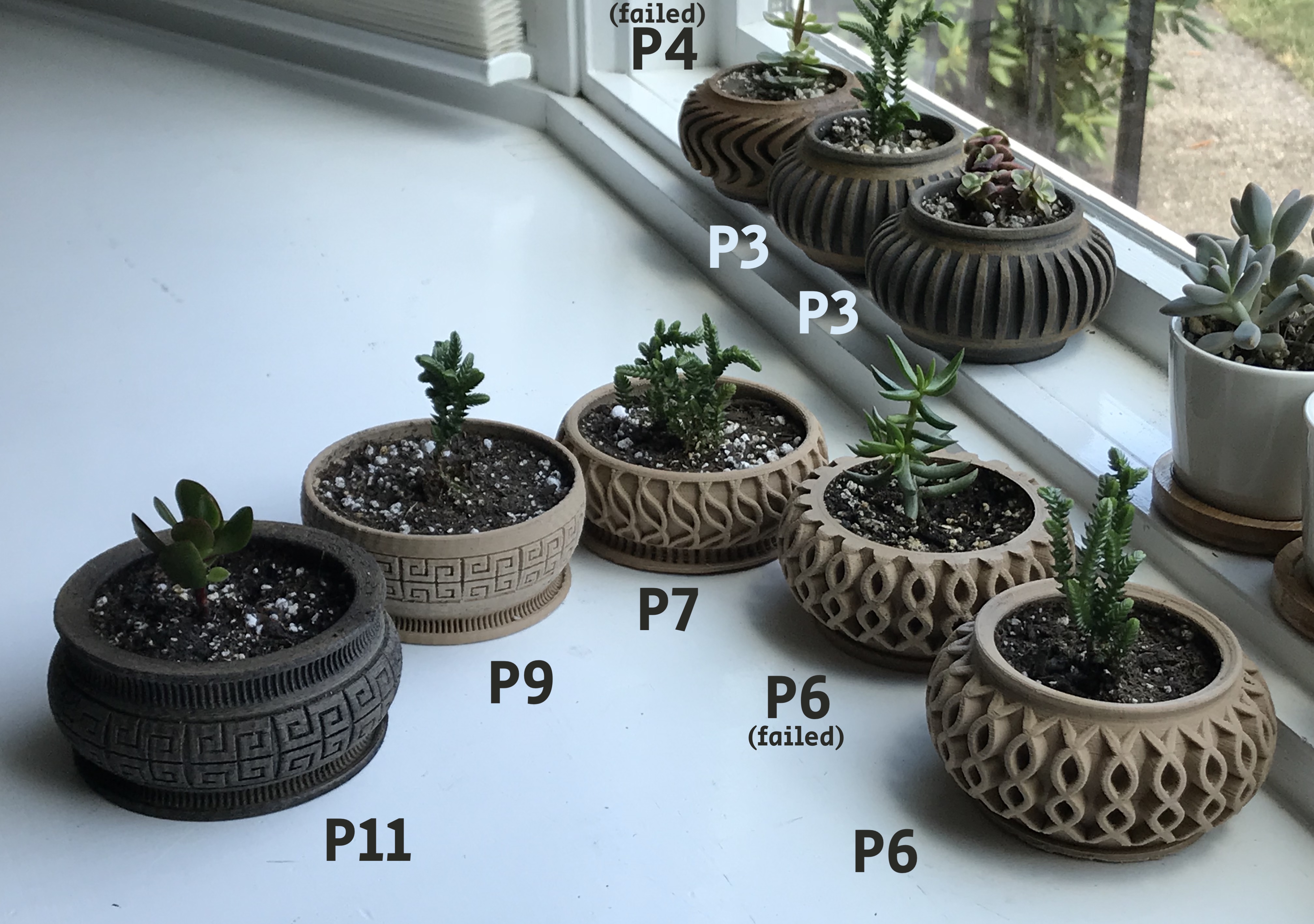 Succulent Planter 11