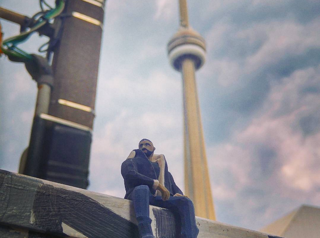 Tiny Views Drake