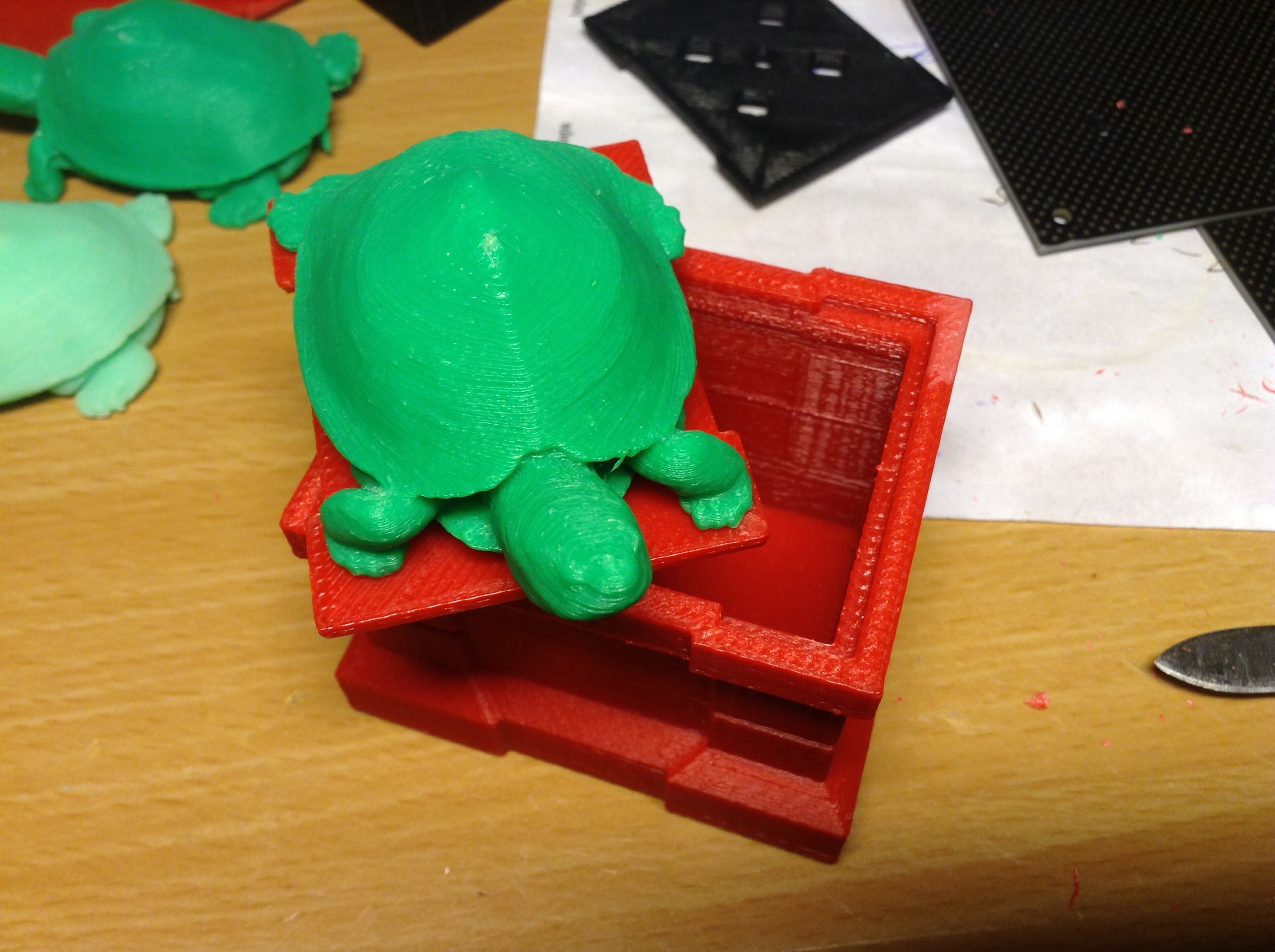 Testudo Box