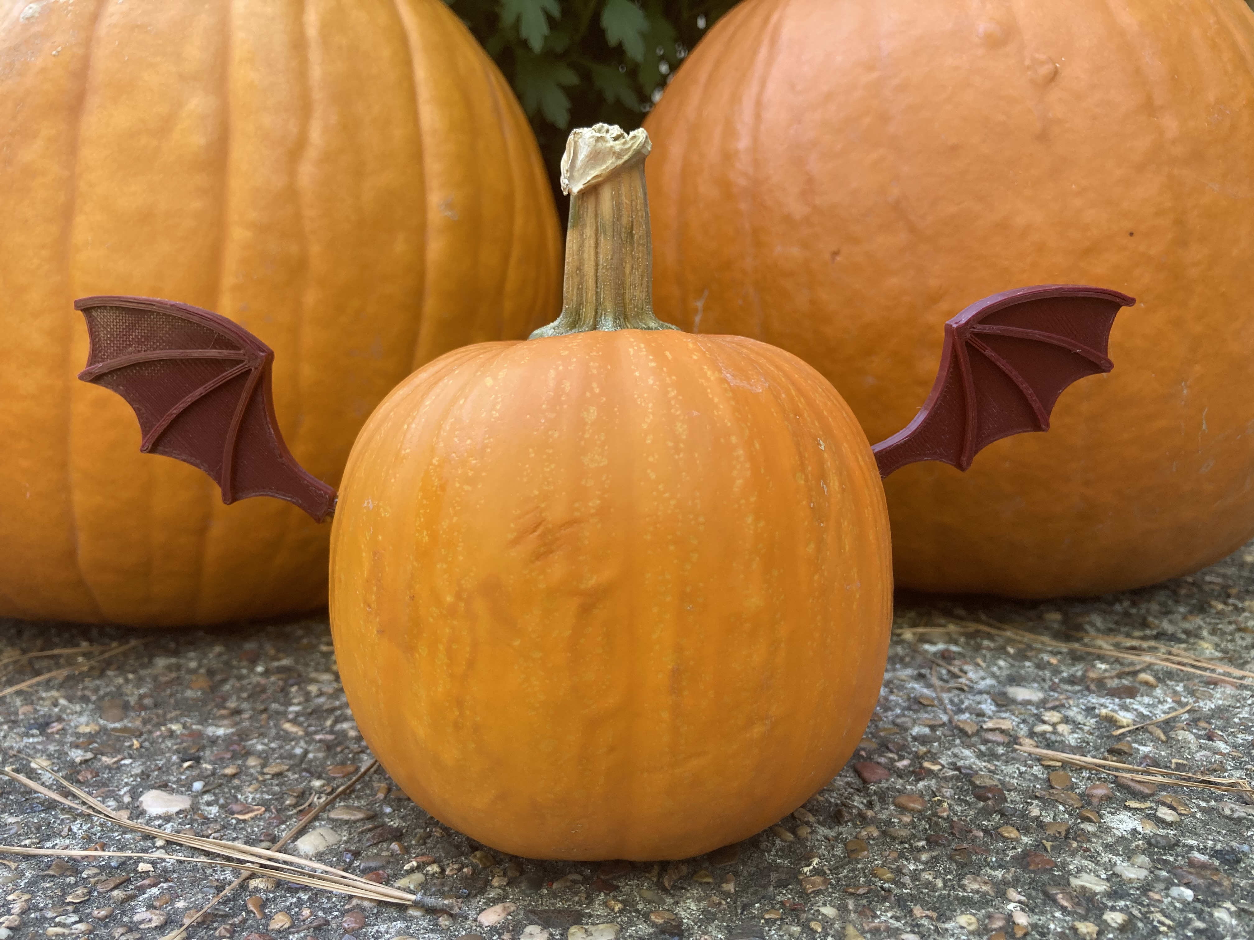 Bat wings for pumpkin decorating