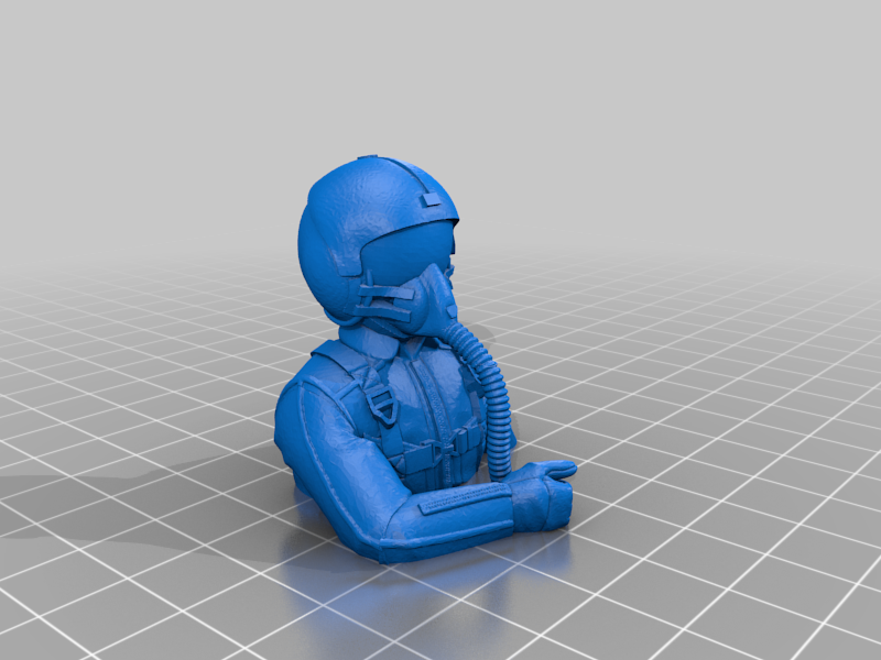 Fighter Pilot for Freewing 64mm F-14 Tomcat