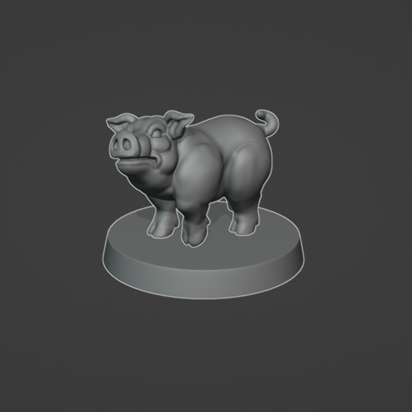 Сute pig