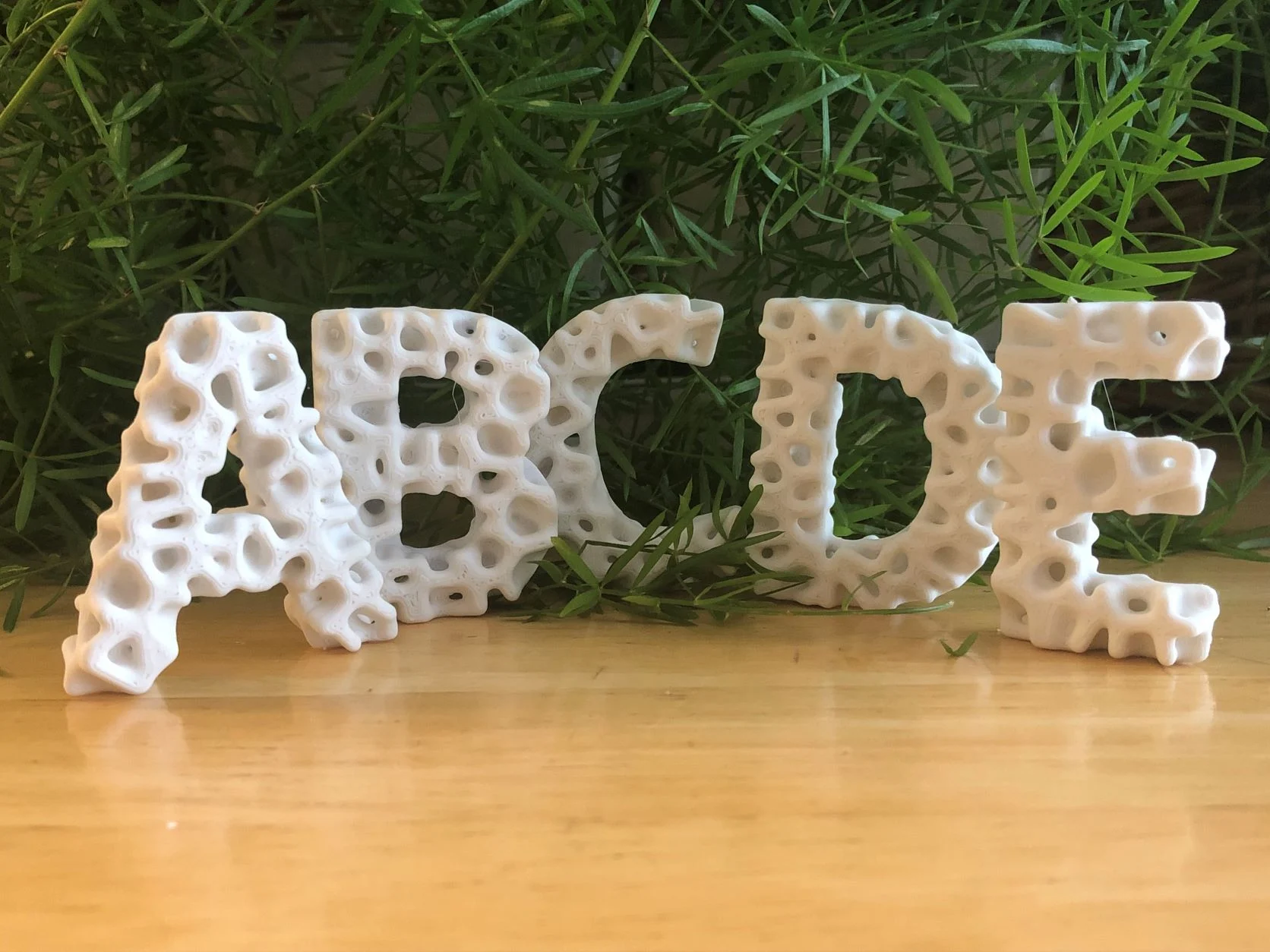 Lichen Letters