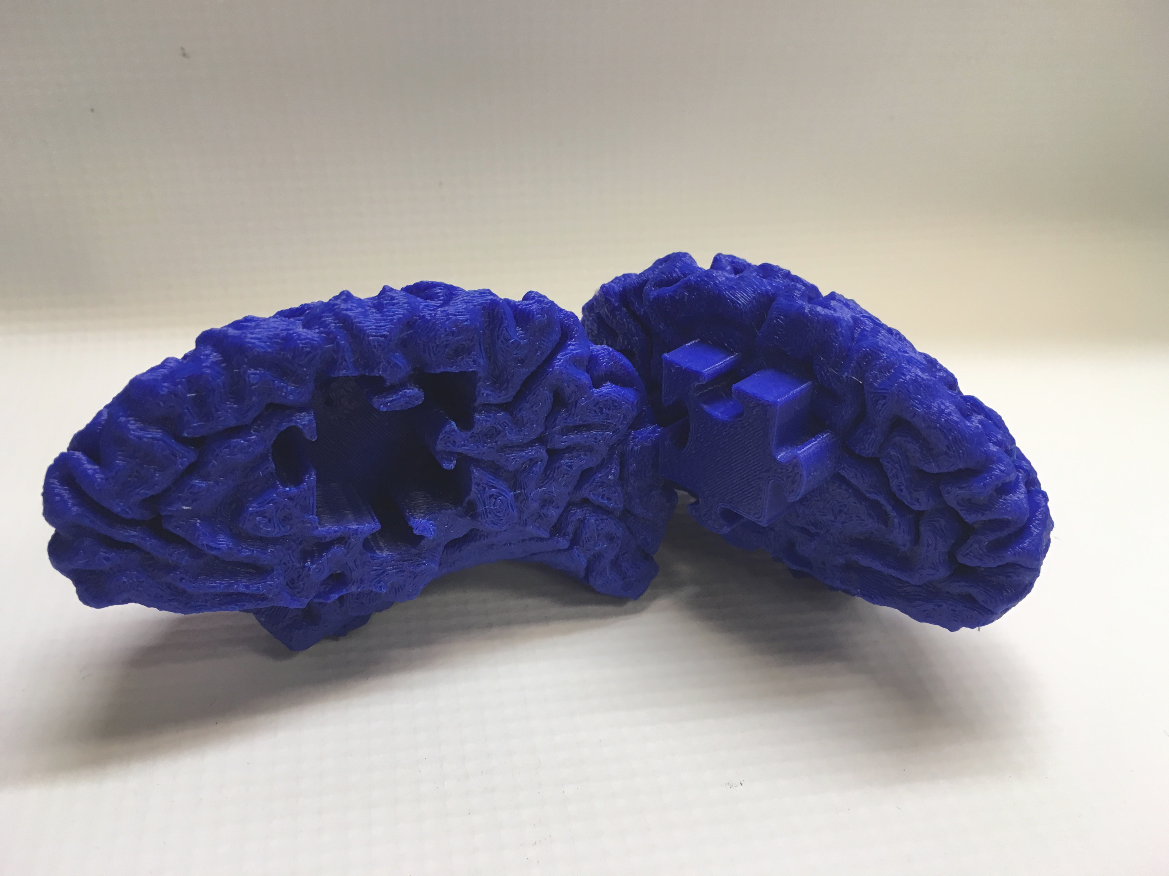 Autism Awareness Brain Puzzle