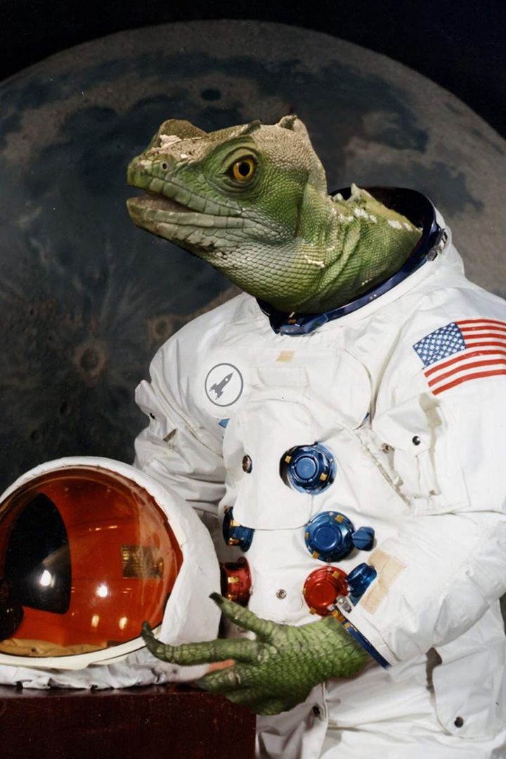Stellar Armada: Lizards