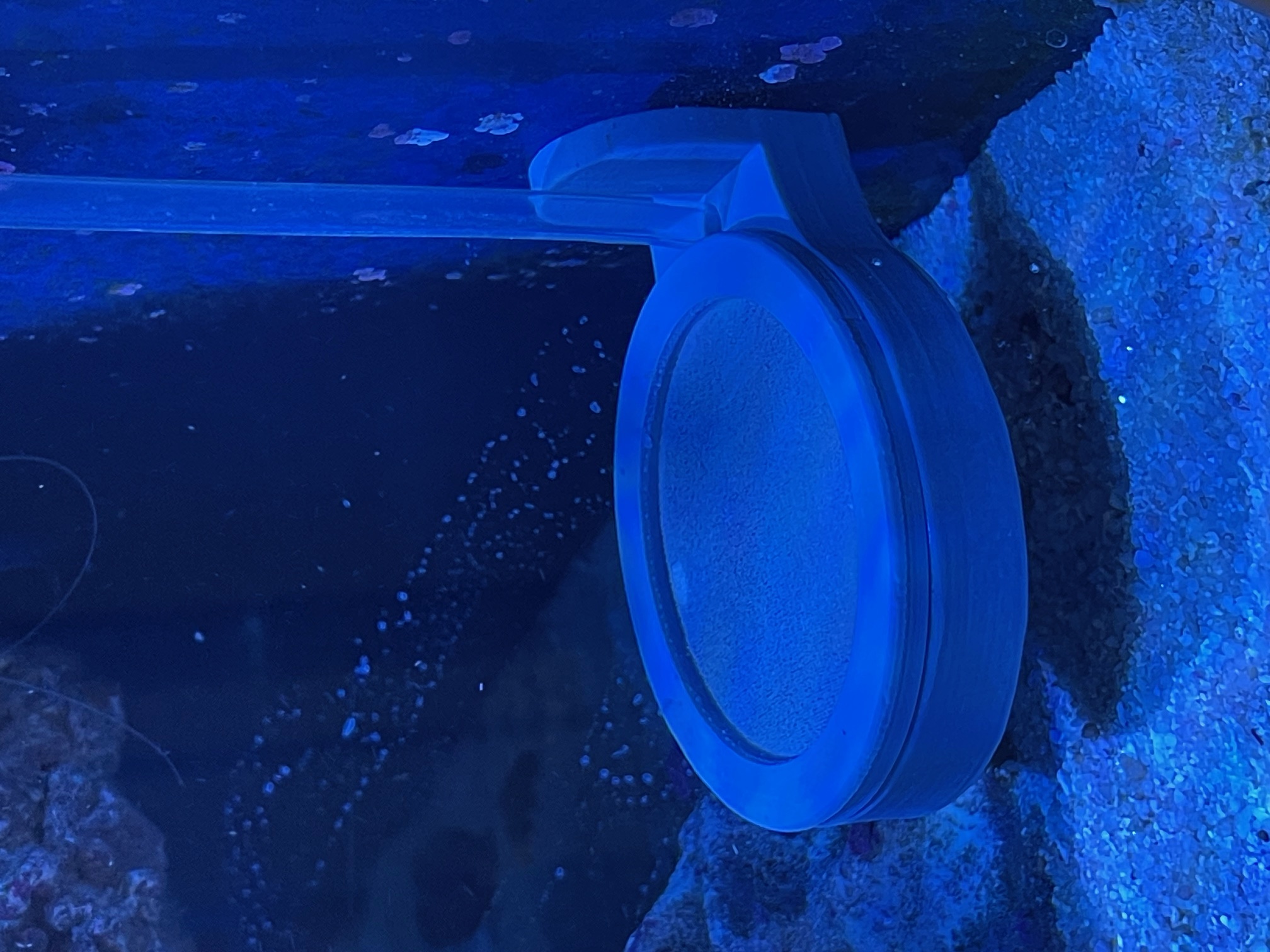 Live brine shrimp dispenser with side magnet mount