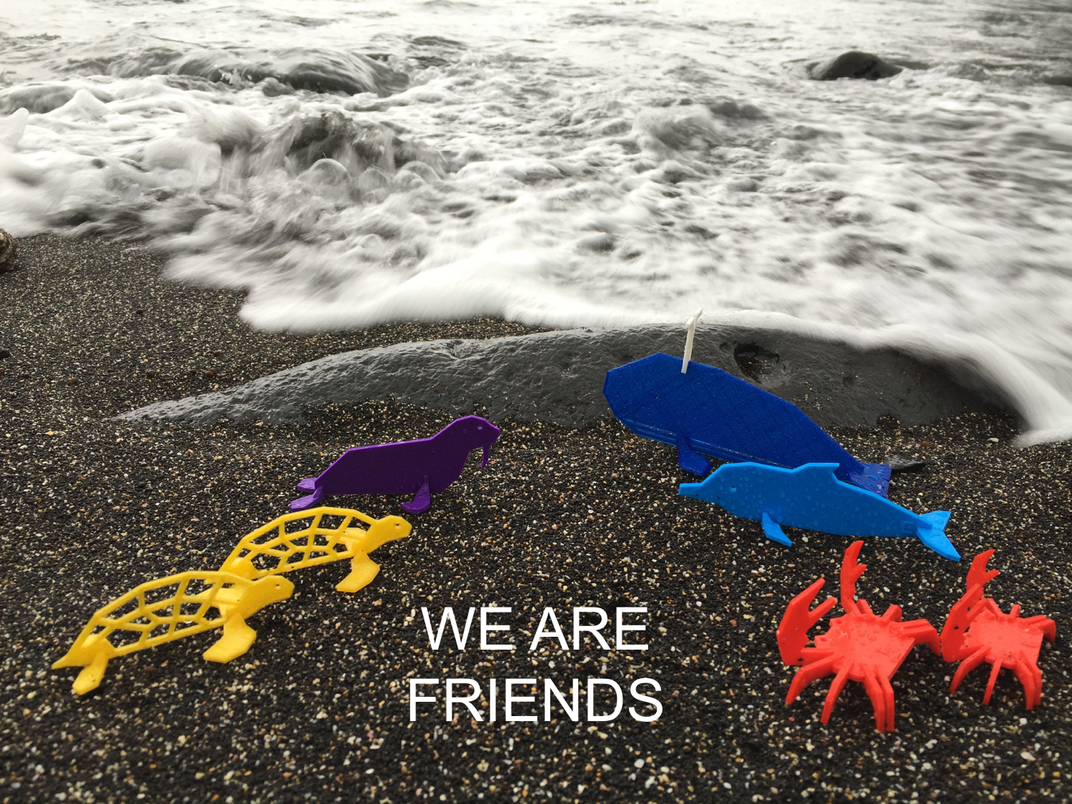 Simple animals 14 - Sea