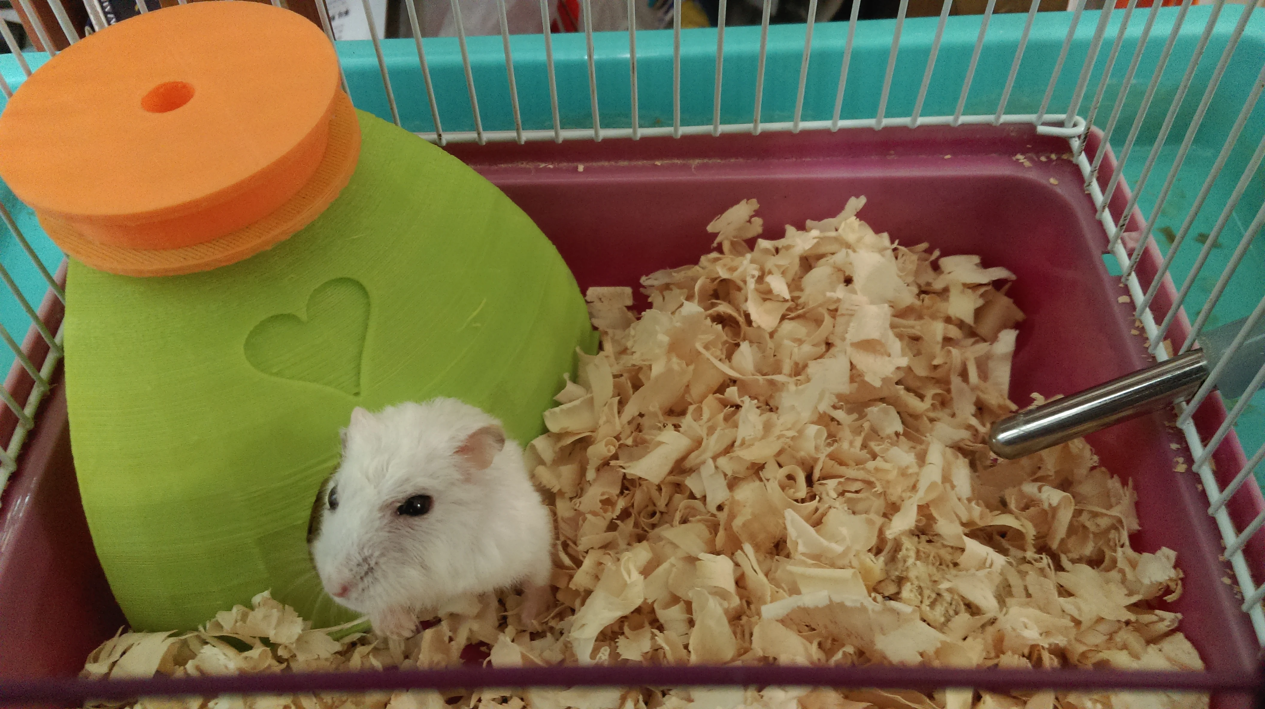 Hamster Condo