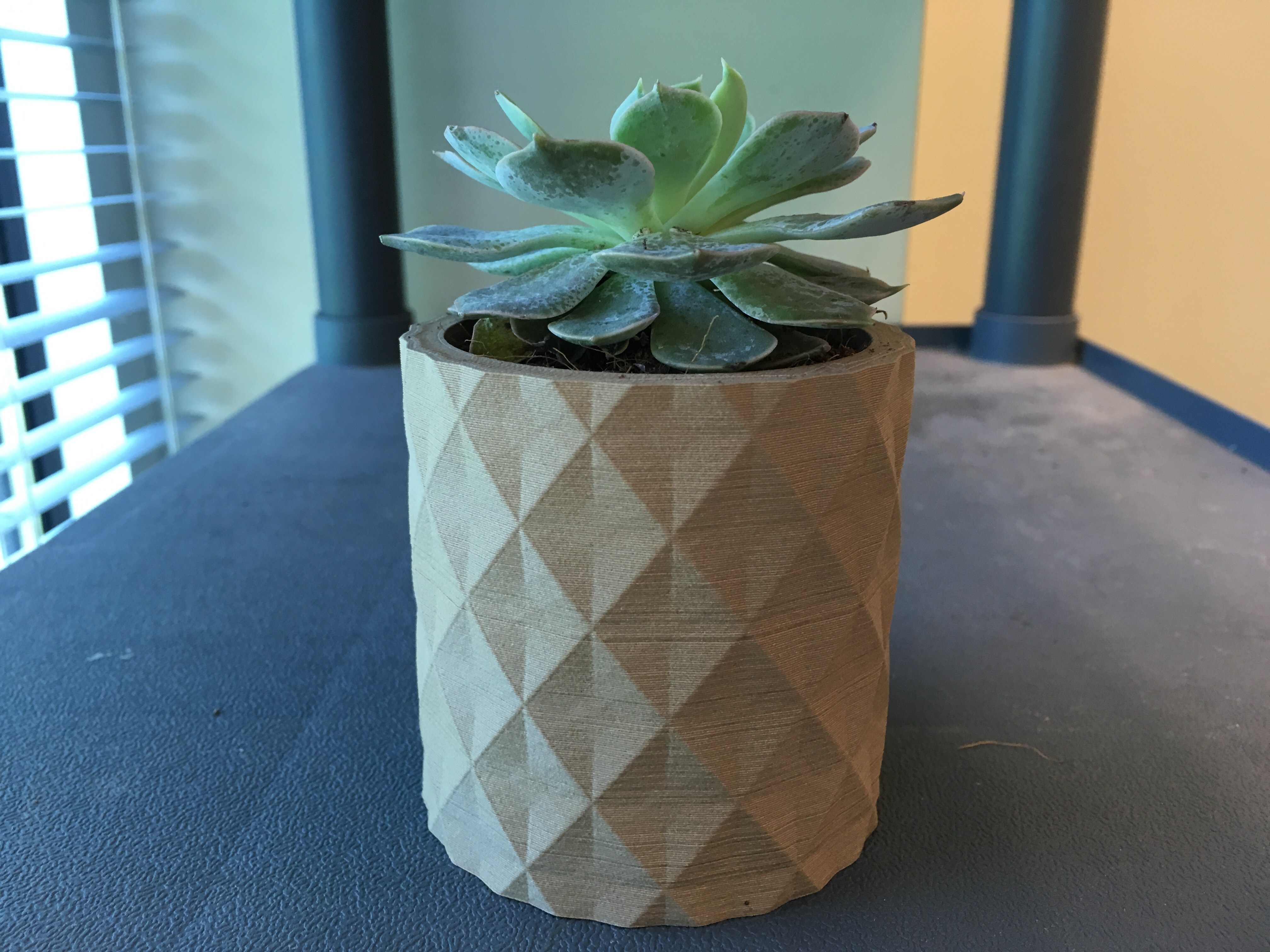 Small Desk Planter