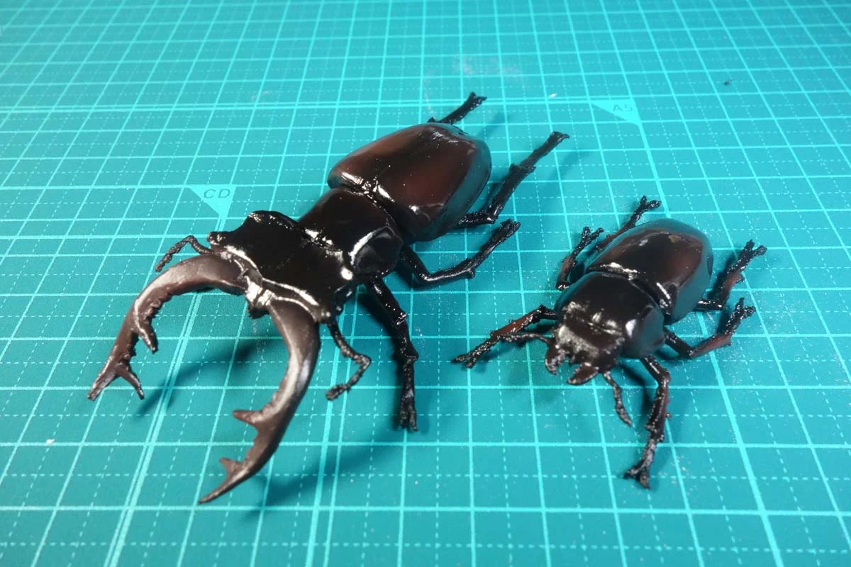 Stag beelte (Lucanus Cervus)