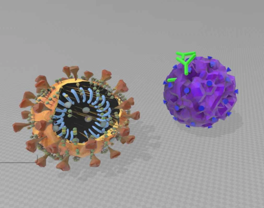 learn more... corona virus found on ZDF - TV page (made by Thomas Leimbach)