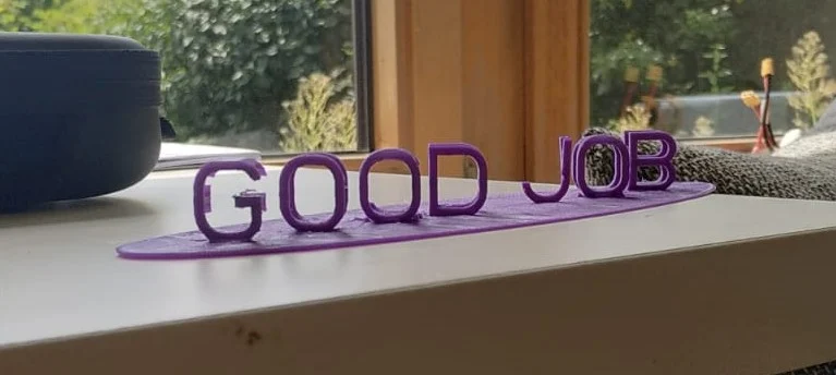 Good Job - Fuck You