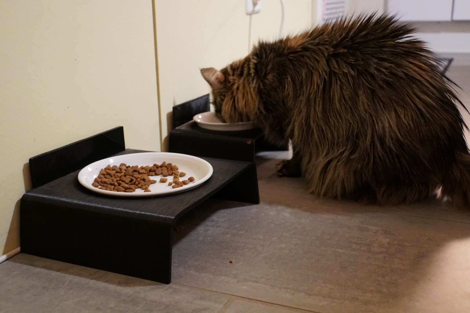 Cat Feed Table