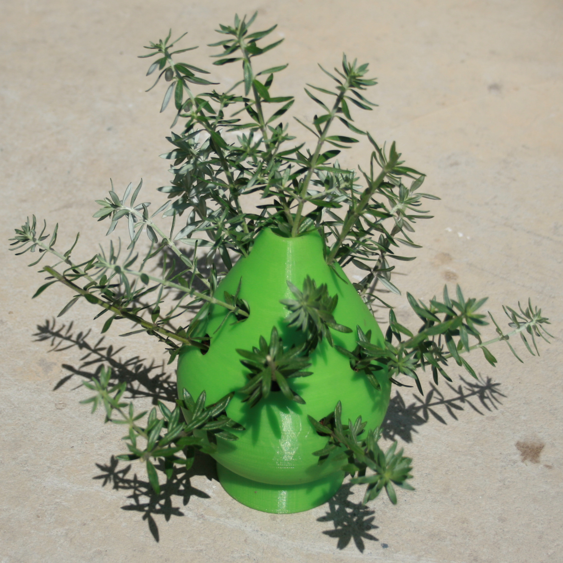 Tree Planter